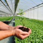 Bonus agricoltura, il governo stanzia 130 milioni tra carburanti e fertilizzanti: credito d’imposta fino al 30%