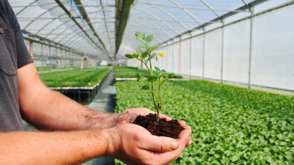 Agricoltura biologica: differenze, vantaggi e come riconoscerla