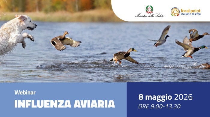Influenza aviaria, l’8 maggio un webinar internazionale sul modello One Health tridimensionale