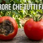 I 7 errori che stai commettendo nel tuo orto (e che stanno rovinando il raccolto)