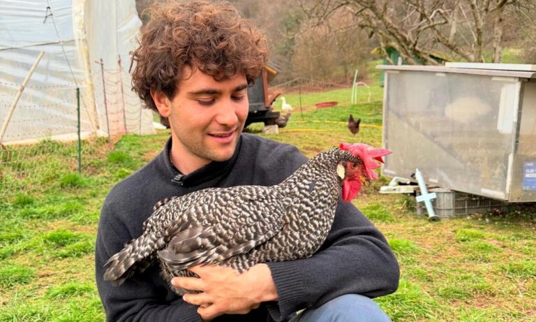 Dalla Bassa alla Lessinia: il ragazzo che ha salvato le galline “fantasma” (e le loro uova super nutrienti)