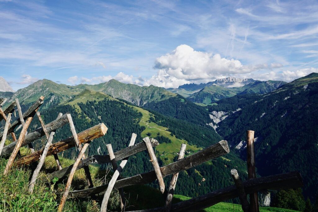 WWF: «Fossili causa di guerre, le rinnovabili sono energia per la pace»
