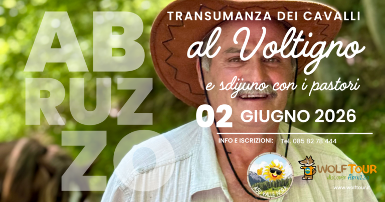 Transumanza sul Voltigno, il 2 giugno una giornata tra cavalli e tradizioni