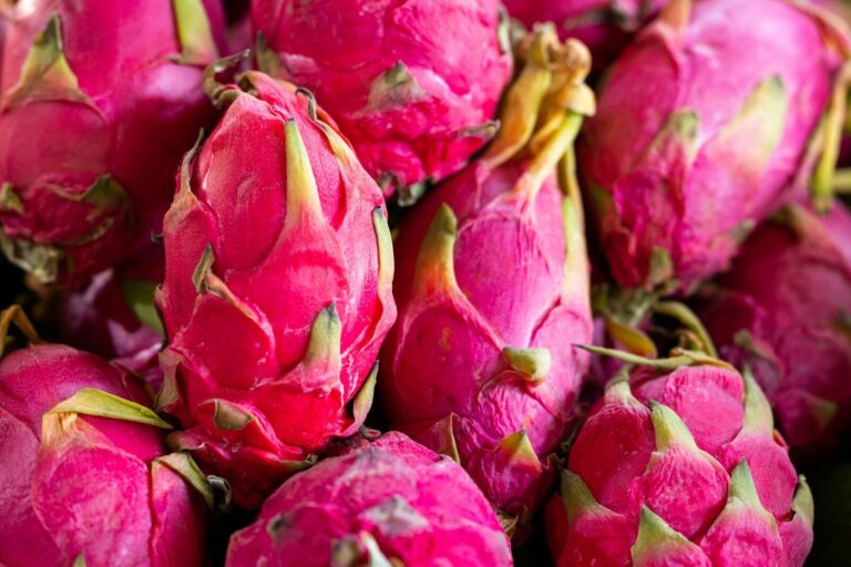 Frutto del Drago (Pitaya): guida completa su varietà, benefici, coltivazione e prezzi