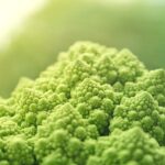 Vegan certificato non è più una nicchia: l’85% delle aziende ha più di 20 anni, ecco i dati di Tuttofood