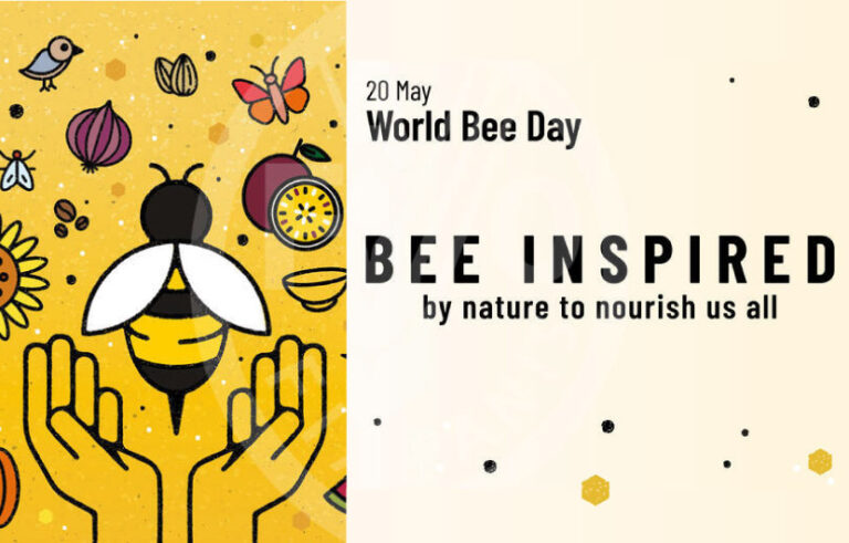 World Bee Day, il 20 maggio si celebra la Giornata Mondiale delle Api