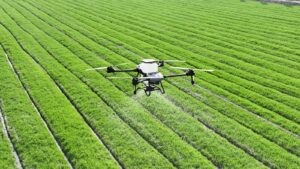 Droni per agricoltura: la guida completa per scegliere il modello giusto (prezzi, modelli e normativa 2026)