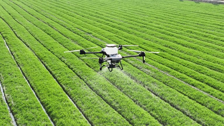 Droni per agricoltura: la guida completa per scegliere il modello giusto (prezzi, modelli e normativa 2026)
