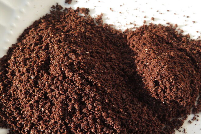 Quali piante non concimare con i fondi di caffè: la guida completa per non sbagliare