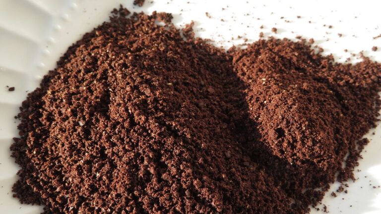 Quali piante non concimare con i fondi di caffè: la guida completa per non sbagliare
