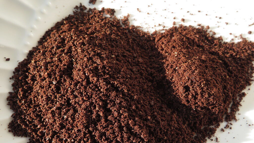 Quali piante non concimare con i fondi di caffè: la guida completa per non sbagliare