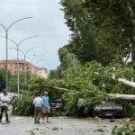 Maltempo a Roma, alberi e rami caduti in città: paura e disagi nel pomeriggio di pioggia e vento