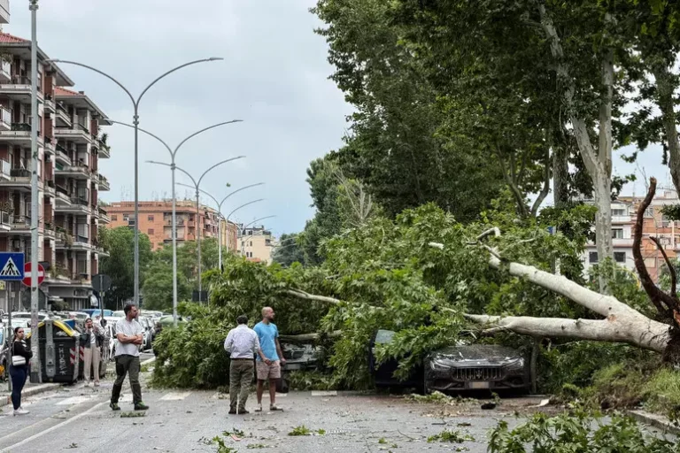 Maltempo a Roma, alberi e rami caduti in città: paura e disagi nel pomeriggio di pioggia e vento