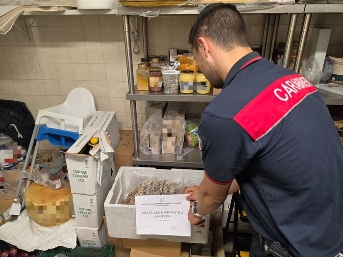 Sequestrati 7,2 kg di tartufo estivo in un ristorante: multa al ristoratore per mancanza di tracciabilità