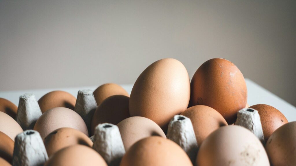 Se avete acquistato queste uova nei supermercati, non mangiatele: richiamate per salmonella
