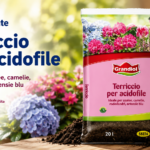 Terriccio GRANDIOL per acidofile a 1,99 euro da Lidl: quali piante ne hanno bisogno e come usarlo