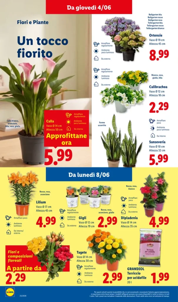 Volantino lidl 4 giugno fiori piante