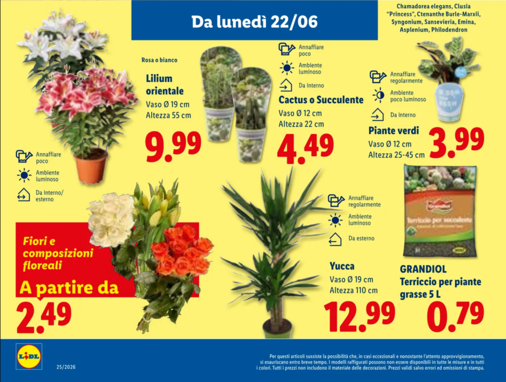 volantino piante e fiori lidl 22 giugno