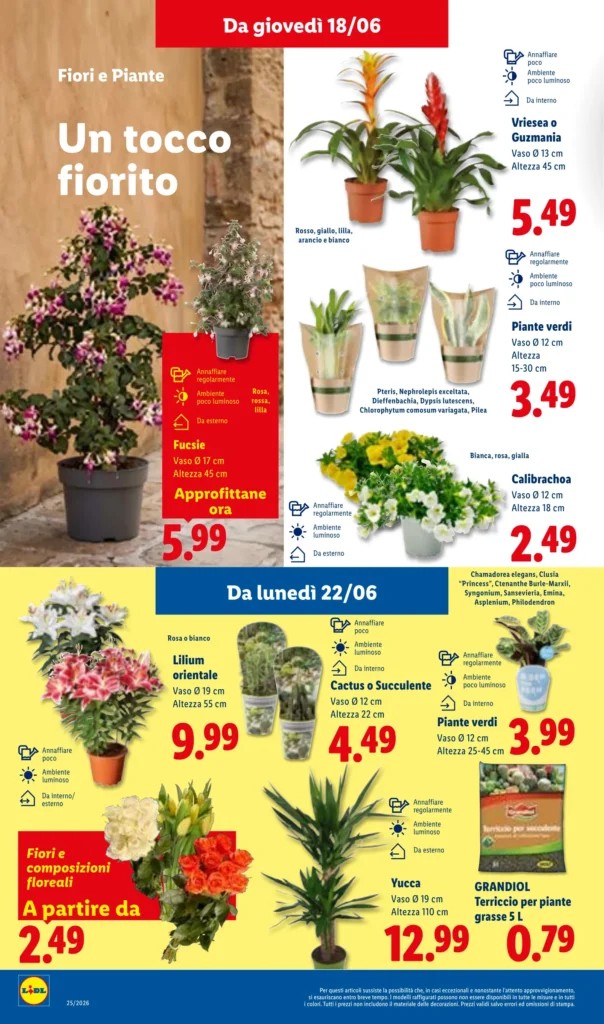 Lidl, il volantino piante e fiori di giovedì 25 giugno e 28 giugno 2026