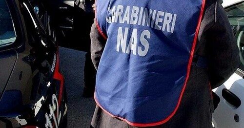 Nas Frosinone: blitz agriturismi, sequestrati 200 kg di alimenti