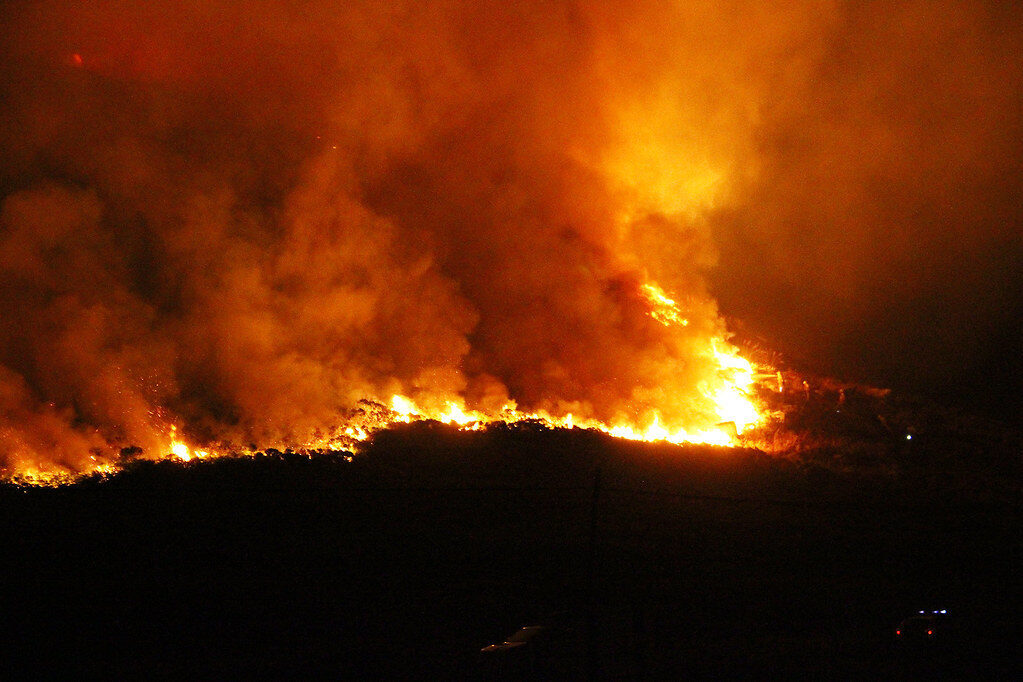 Gargano e Molise in fiamme: evacuati 400 turisti, fiamme dolose