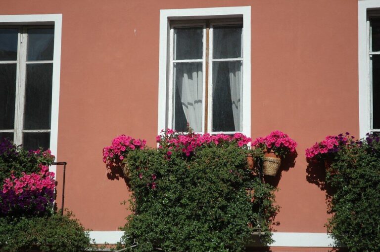 Balcone fiorito e verde tutta l’estate: 7 consigli pratici