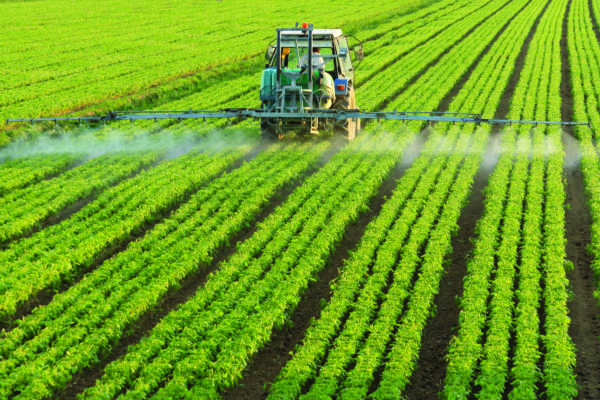 Francia, via libera a deroghe su due agrofarmaci vietati - Attualità | AgriVivo.it