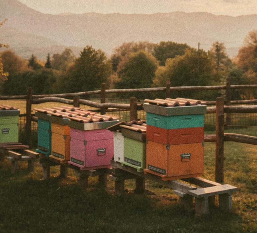 Millefiori Voceto azienda miele
