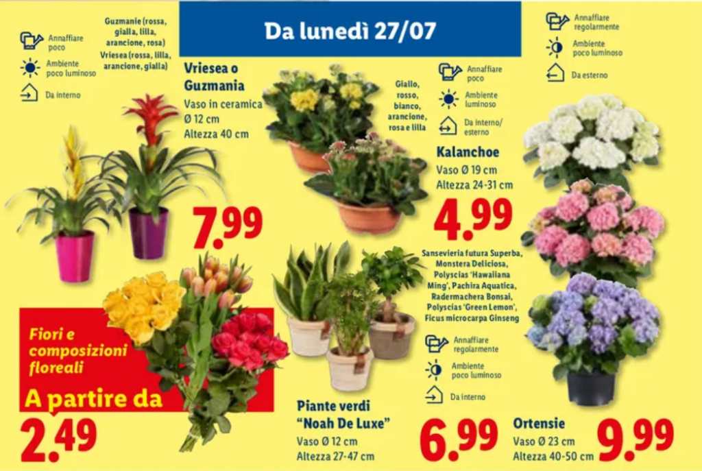 offerte piante volantino lidl 23 e 27 luglio 2026