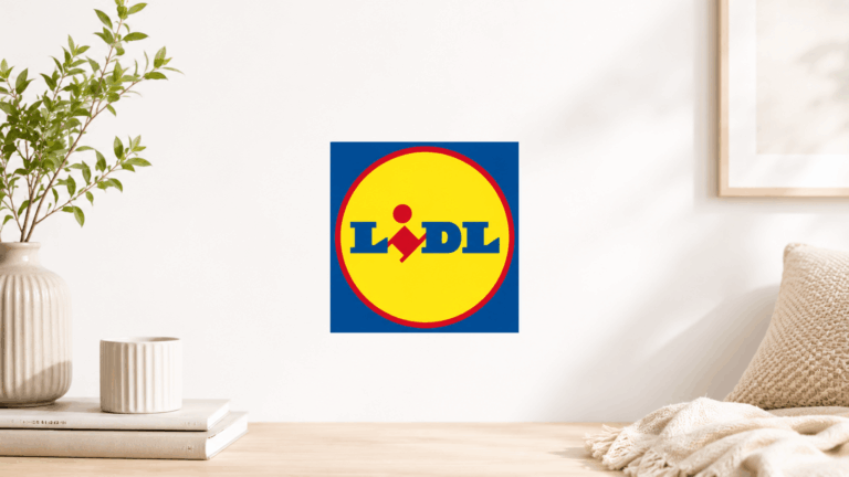 Lidl, fornello elettrico doppio SilverCrest a meno di 20 euro: dal 3 agosto in volantino