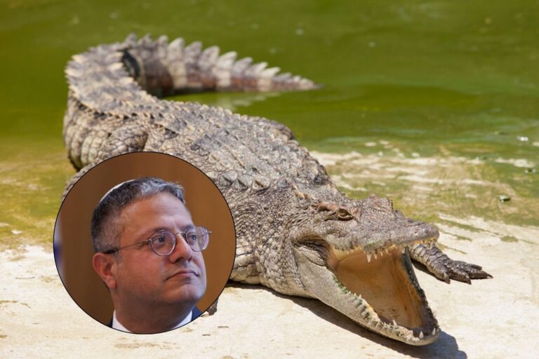 Israele, coccodrilli come deterrenti attorno alle carceri: cos’è il piano Alligator Alcatraz