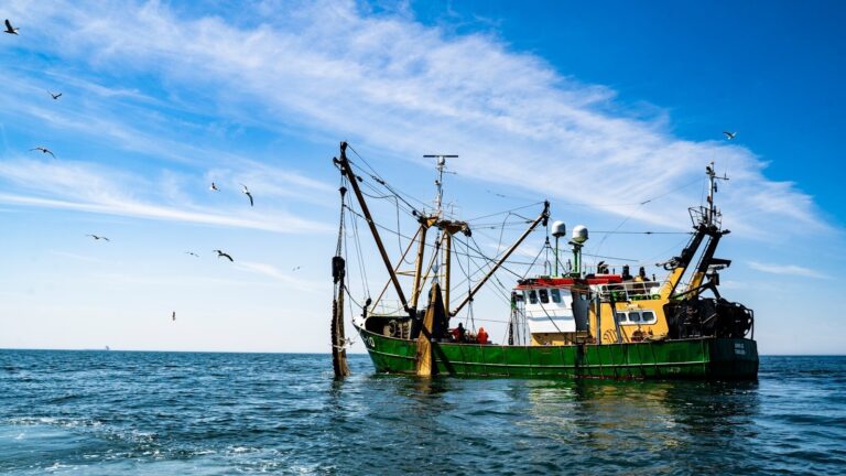 Pesca in Puglia, in arrivo 70 milioni contro il caro costi