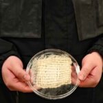 Questa giacca estrae quasi un litro di acqua dall’aria