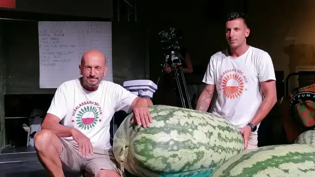 Miss Anguria 2026: l’azienda Scarlassara trionfa con una “cocomera” di 125 chili