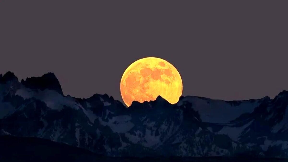 Luna del cervo