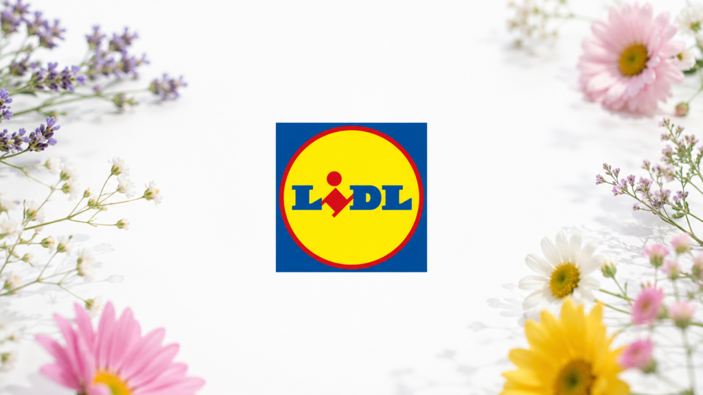 Piante Lidl a meno di 3 euro: rose, lavanda e cactus dal 30 luglio. Ecco il volantino