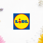 Piante Lidl a meno di 3 euro: rose, lavanda e cactus dal 30 luglio. Ecco il volantino