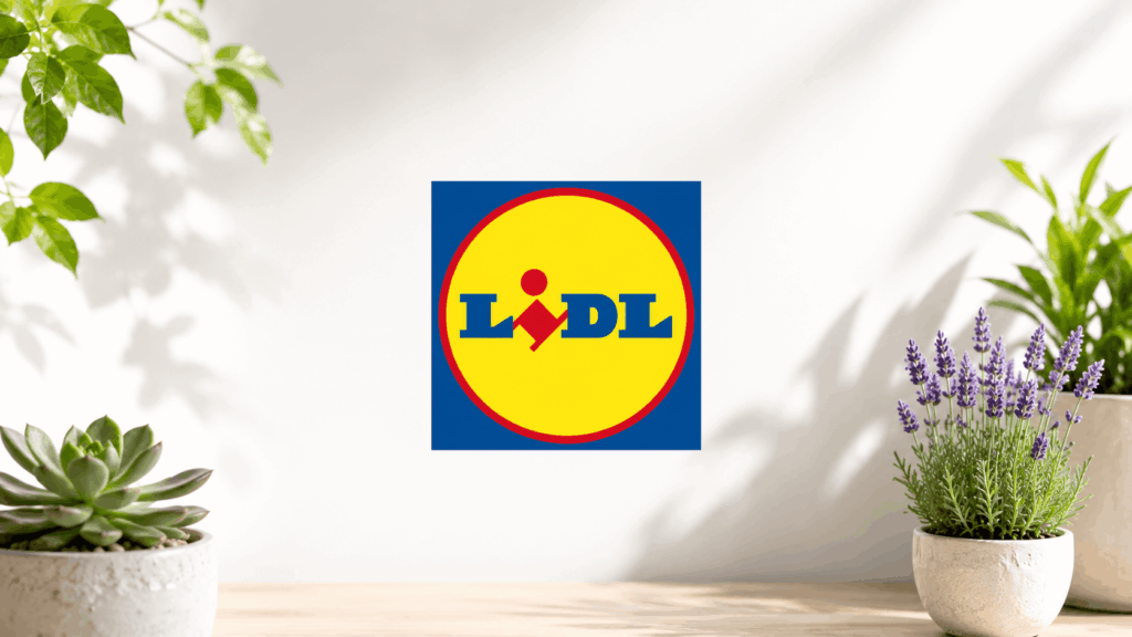 Lidl, il volantino dell’estate: crisantemi, rose e piante fiorite a partire da 1,99€