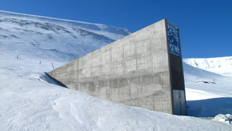In una montagna norvegese c’è un bunker di semi che può salvare l’umanità