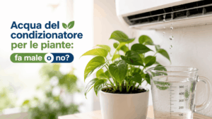 Acqua del condizionatore per le piante: fa male o no?