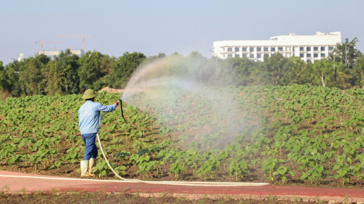 Acqua in agricoltura
