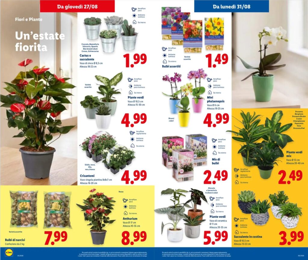 Volantino piante e fiori lidl 27 - 31 Agosto 2026