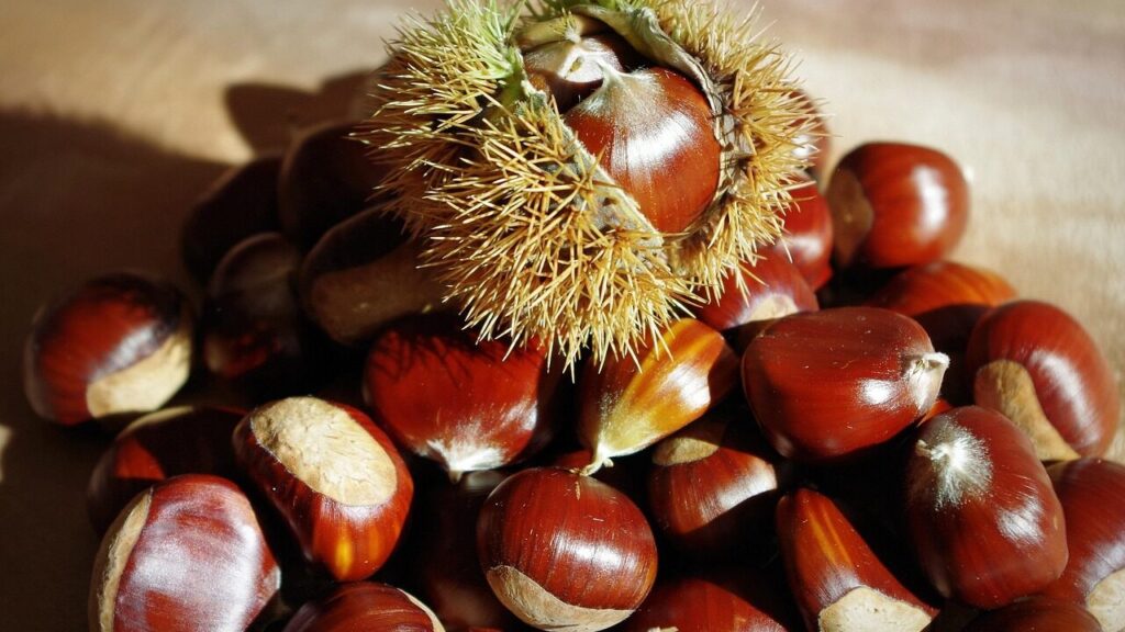 Non buttare le bucce delle castagne: 5 idee geniali per riciclarle in casa e in giardino
