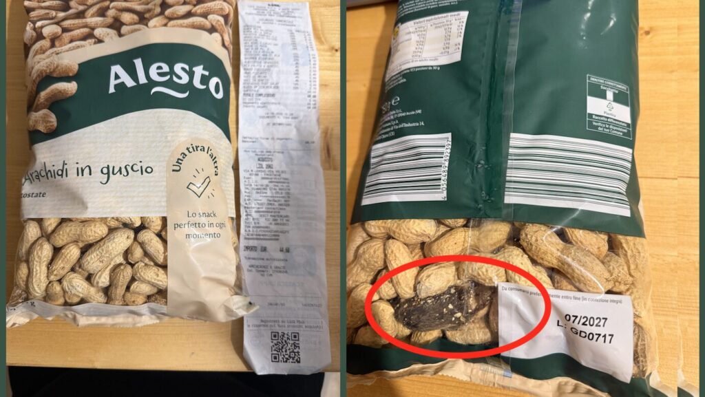 Ratto nelle arachidi Lidl, la segnalazione choc di una cliente: “Era nella confezione sigillata”