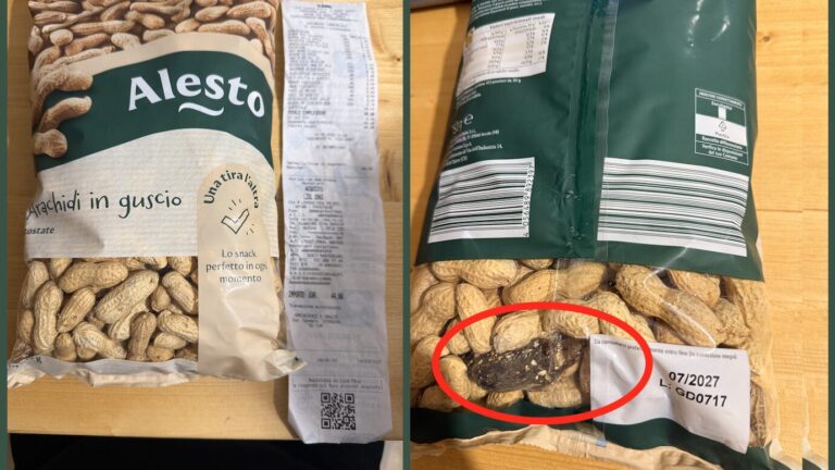 Ratto nelle arachidi Lidl, la segnalazione choc di una cliente: “Era nella confezione sigillata”