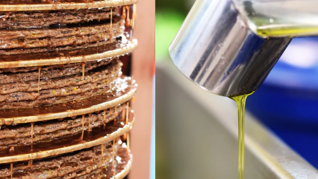 Olio estratto a freddo o a caldo: la differenza che cambia tutto