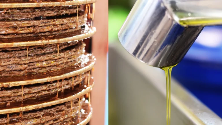 Olio estratto a freddo o a caldo: la differenza che cambia tutto