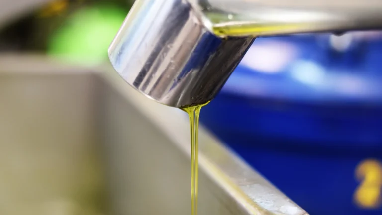 Olio nuovo: guida pratica a stagione, caratteristiche e acquisto