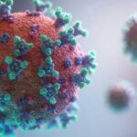Virus Shamonda, primo caso umano al mondo in Francia: un paziente immunodepresso è morto